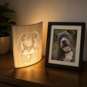 Lithophanes
